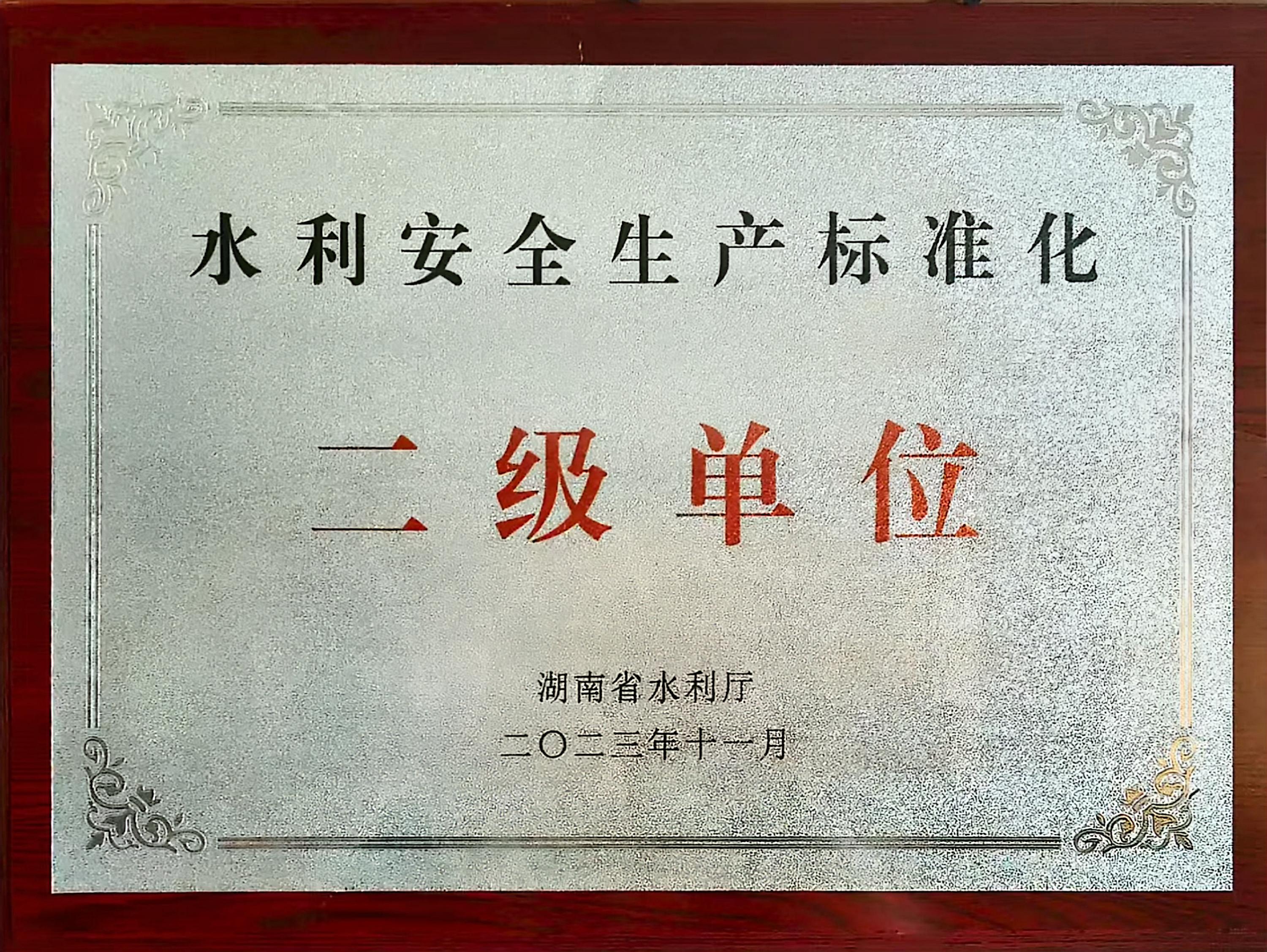 水利安全生产标准化二级单位-湖南省水利厅颁发.jpg