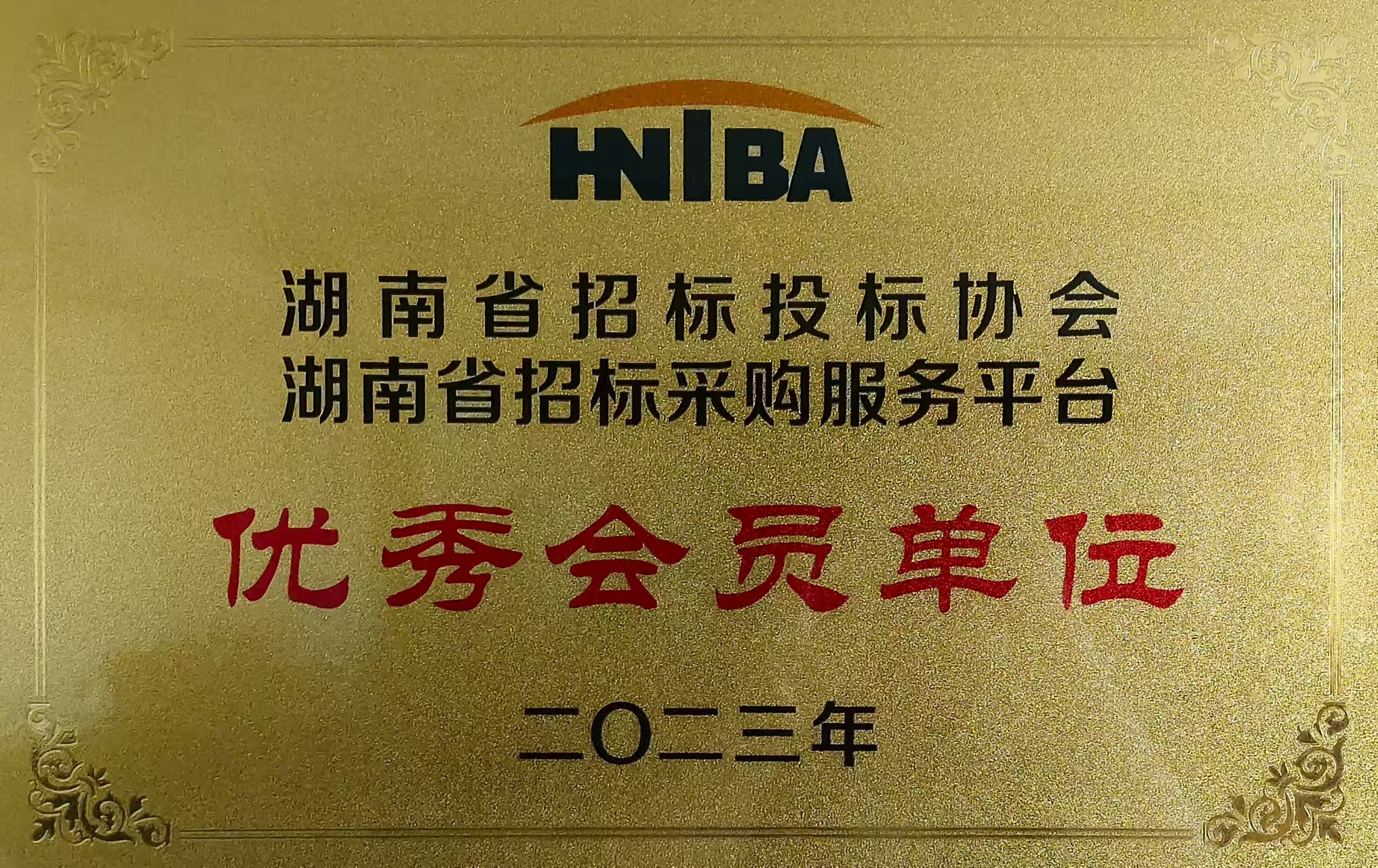 湖南省招标投标协会湖南省招标采购服务平台优秀会员单位.jpg